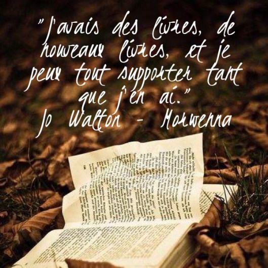 Citation Jo Walton - Morwenna 2